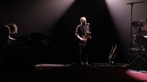 MAMMAL HANDS | Großbritannien