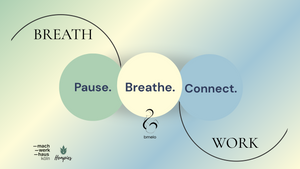 Pause. Breathe. Connect.