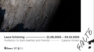 Runterkommen | Invitation to bark beetles and friends
