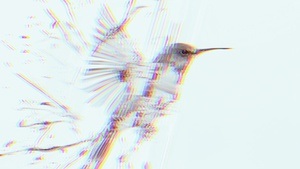 CHIRP