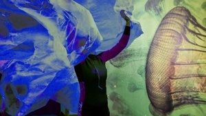 Oktopus – eine Reise in die Tiefe