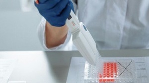 Pint of Science - What Shapes Life: From Invisible Enemies to Global Shifts