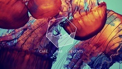 meer - Restaurant / Bar / Events