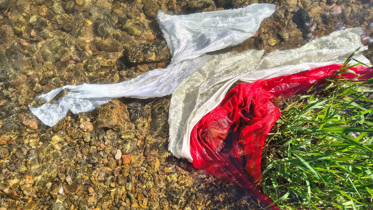 Titelbild der Veranstaltung Washing Rituals