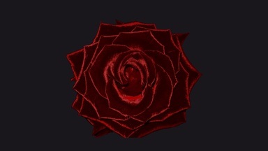 Fischer & Friends: Ich sehe alles rosenrot - Karl May, vom Kegeljungen zum Großmystiker