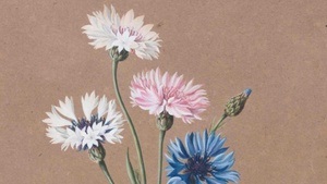 Das alles bin ich! Die Schenkung Christoph Müller IV Blatt- und Lebenswerk