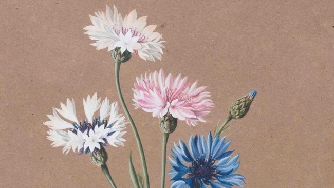 Das alles bin ich! Die Schenkung Christoph Müller IV Blatt- und Lebenswerk