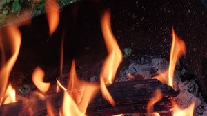 Grill Kochkurs (B- und C-Cuts)