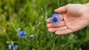 Durchatmen im Grünen - Was grüne Rückzugsorte für unsere Gesundheit tun