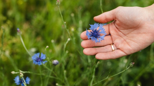 Durchatmen im Grünen - Was grüne Rückzugsorte für unsere Gesundheit tun