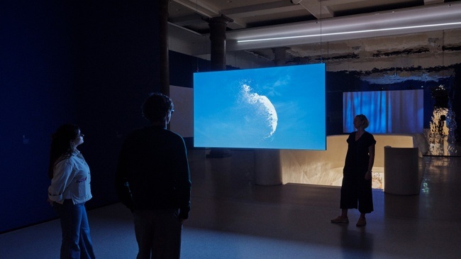 Asta Gröting - Ein Wolf, Primaten und eine Atemkurve