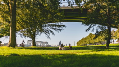 A Day with Your Parents in Cologne - Your Guide