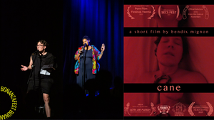 Performance: Ein Satz heiße Ohren + Cane