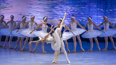 Grand Classic Ballet - Schwanensee - die traditionelle Wintertournee