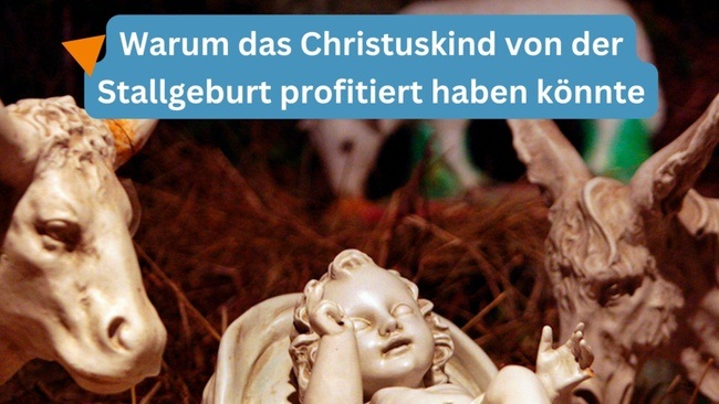 Warum das Christuskind von der Stallgeburt profitiert haben könnte