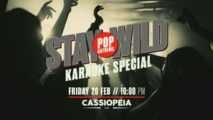 Stay Wild Party // Pop / Karaoke