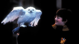 Harry Potter Marathon