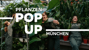 Pflanzen Pop-Up München