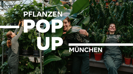 Pflanzen Pop-Up München