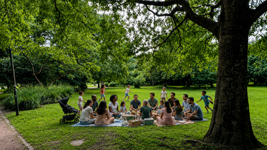 Family Picnic