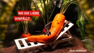 Wo die Liebe hinfällt | Shorts Attack