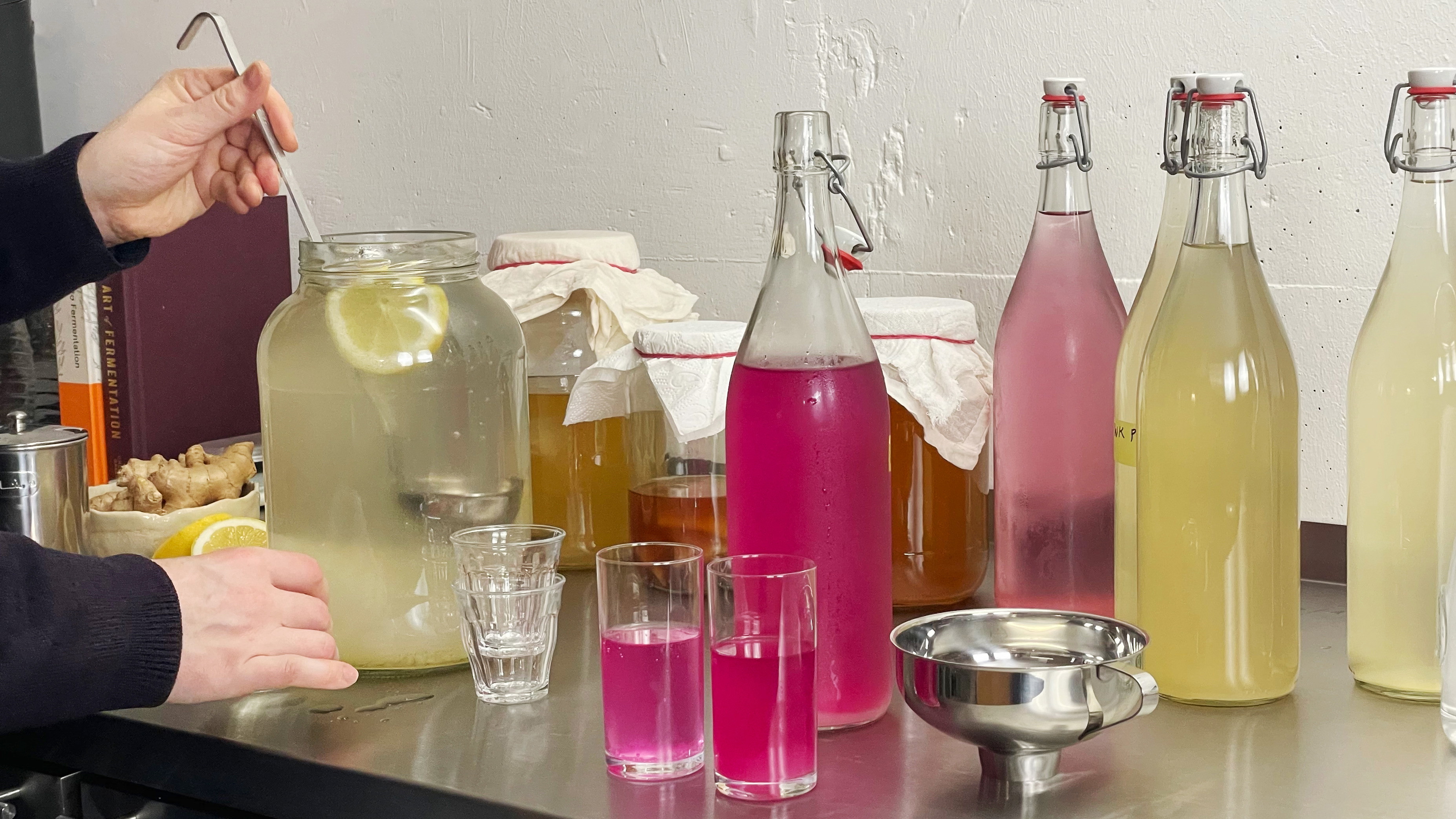 Fermentierworkshop – Getränke