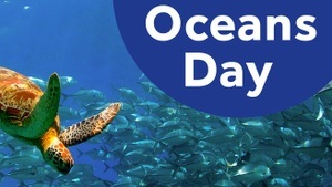 Oceans Day