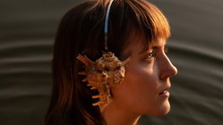 Tara Nome Doyle