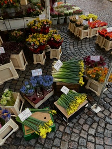 Was geht im März 2026? - Veranstaltungen im Ruhrgebiet