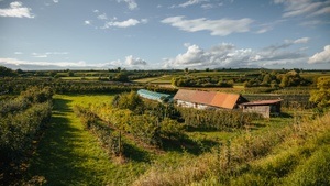 Wein- und Obstbauführung