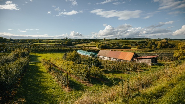 Wein- und Obstbauführung