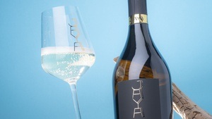 VINO für Liebhaber: Il Prosecco