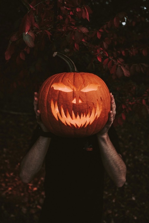 Halloween Burg Königstein 2025