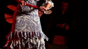 Flamenco Aficion