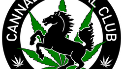 Cannabis Social Clubhaus Stuttgart