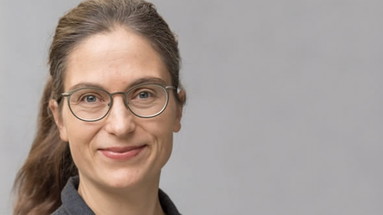 Das Ähnliche im Entfernten erkennen - Metaphern bei Gottfried Wilhelm Leibniz