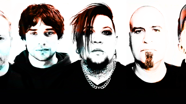 SPINESHANK + (HED) P.E.
