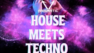 House Meets Techno