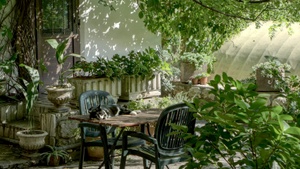 Zukunftsgarten