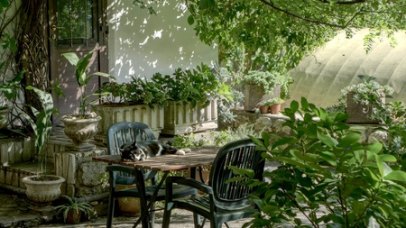 Zukunftsgarten
