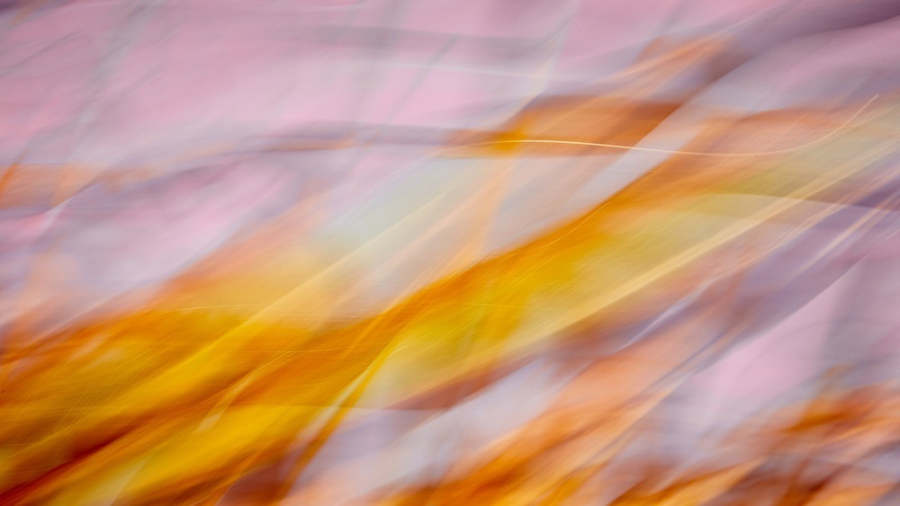 TRANSZENDENZ Kunstausstellung  –  AW Hartenburg  –  Fotografien