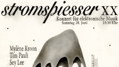 stromspiesser XX