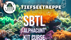 Break it Down pres. Tiefseetreppe #4