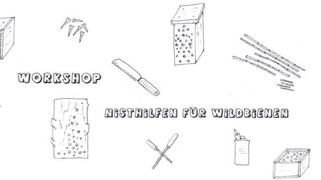 Workshop: Nisthilfen aus verschiedenen Modulen