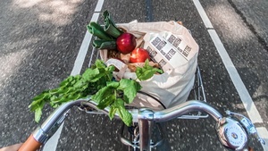 Nachhaltigkeitsmarkt