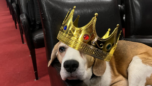 Familiensonntag: EinsLeben!