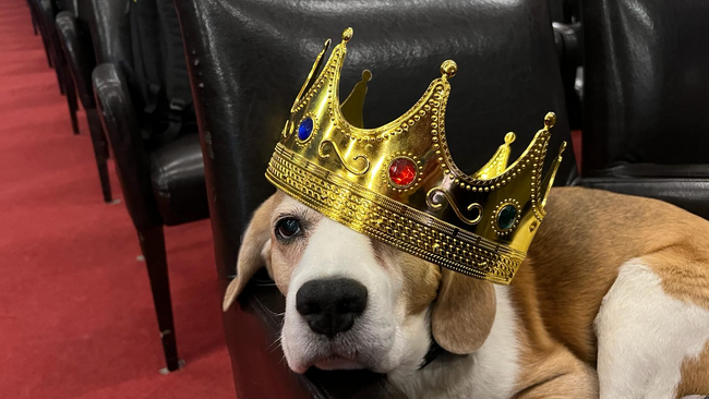 Familiensonntag: EinsLeben!