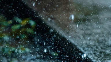 Starkregen: Risiken, Schutz und Lösungen - SPOT Sparkasse Bremen: Vortragsreihe mit hanseWasser Bremen & Bremer Umwelt Beratung