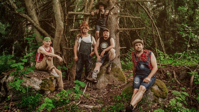 STEVE´N´SEAGULLS