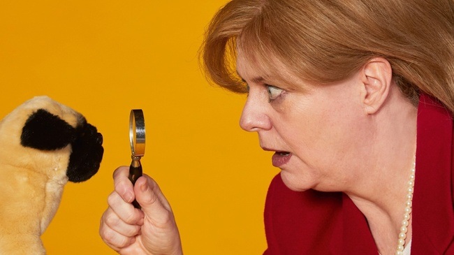 Miss Merkel -  Mord in der Uckermark